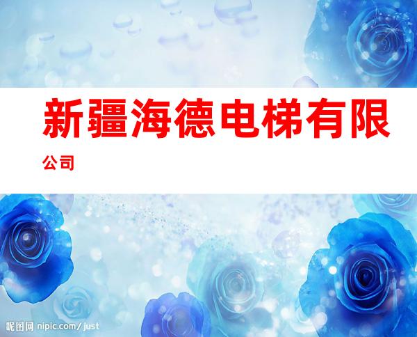 新疆海德电梯有限公司