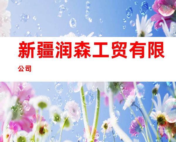 新疆润森工贸有限公司
