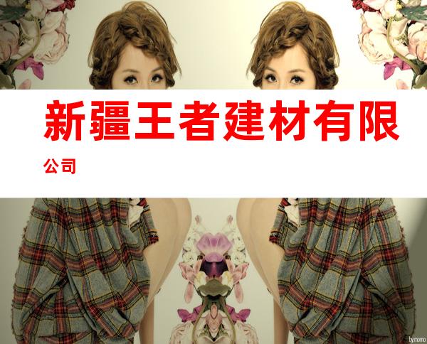 新疆王者建材有限公司