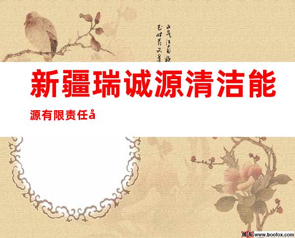 新疆瑞诚源清洁能源有限责任公司
