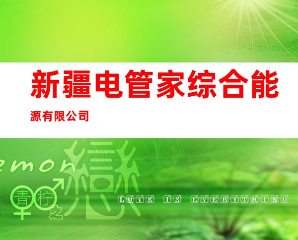 新疆电管家综合能源有限公司