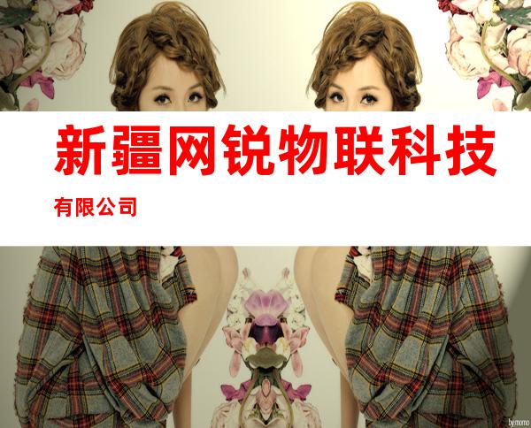 新疆网锐物联科技有限公司