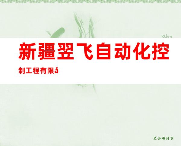新疆翌飞自动化控制工程有限公司