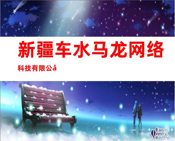 新疆车水马龙网络科技有限公司