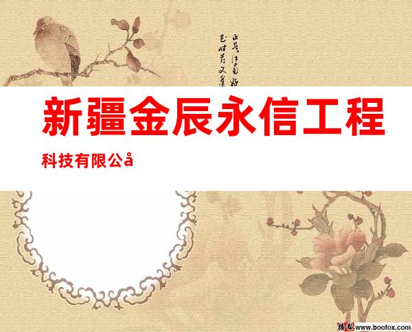 新疆金辰永信工程科技有限公司