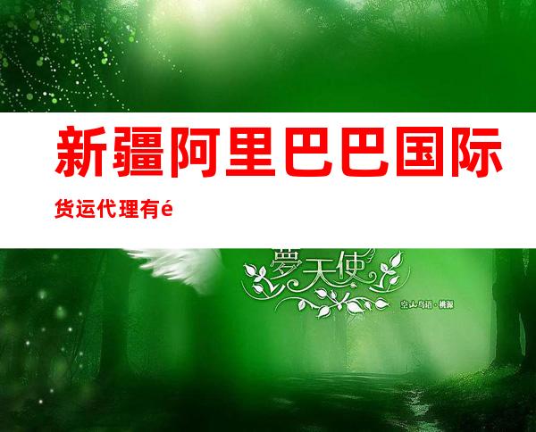 新疆阿里巴巴国际货运代理有限公司