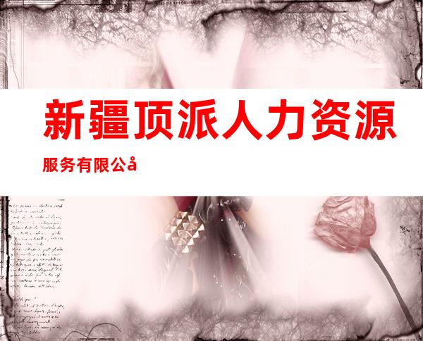 新疆顶派人力资源服务有限公司