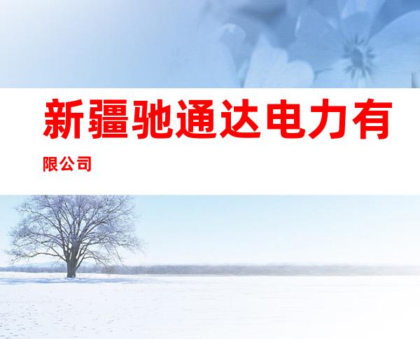 新疆驰通达电力有限公司