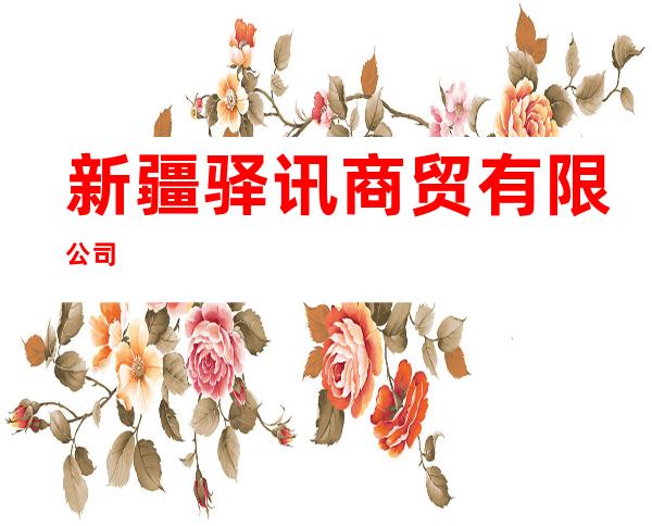 新疆驿讯商贸有限公司