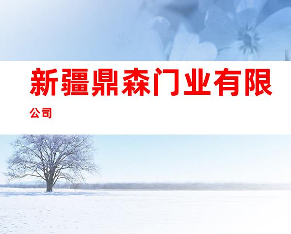 新疆鼎森门业有限公司