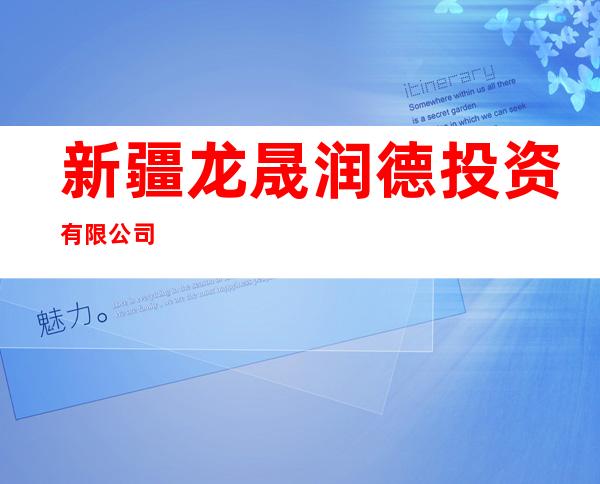 新疆龙晟润德投资有限公司