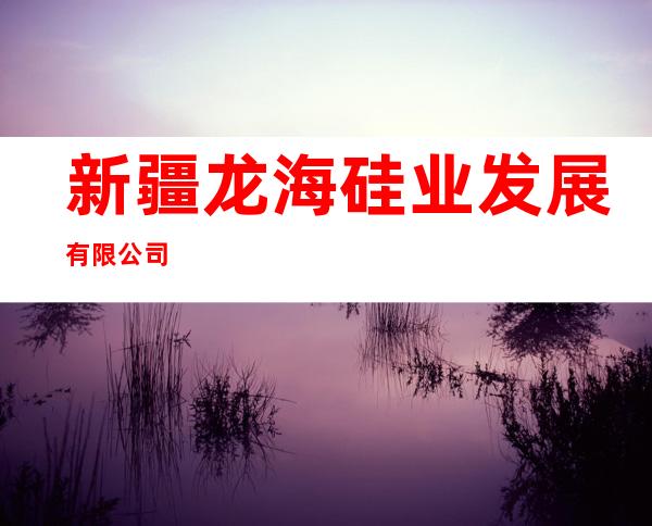 新疆龙海硅业发展有限公司