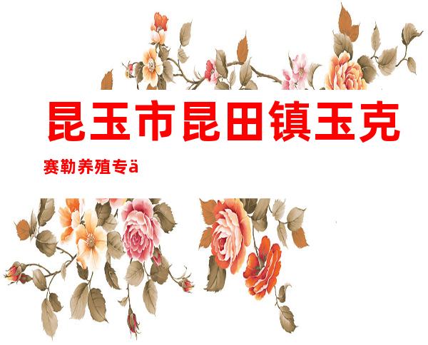 昆玉市昆田镇玉克赛勒养殖专业合作社