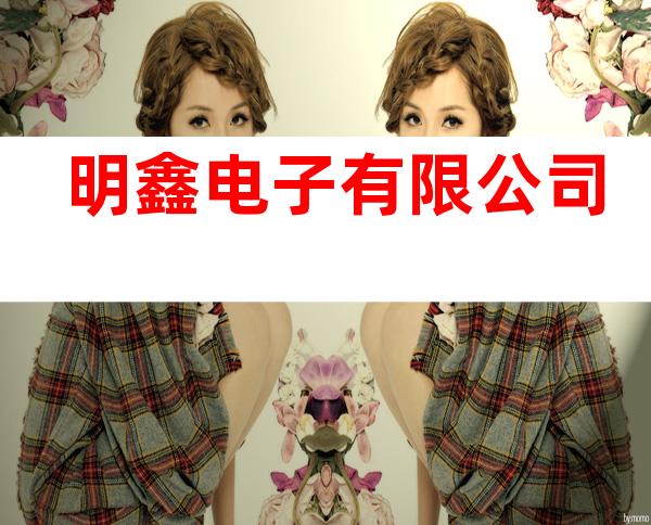 明鑫电子有限 公司