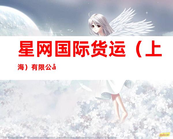 星网国际货运(上海)有限公司