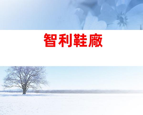 智利鞋廠