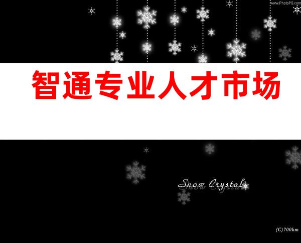 智通专业人才市场