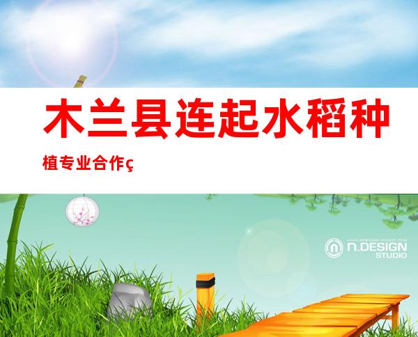 木兰县连起水稻种植专业合作社