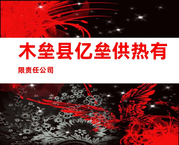 木垒县亿垒供热有限责任公司