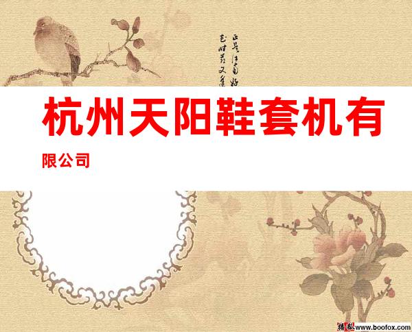杭州天阳鞋套机有限公司