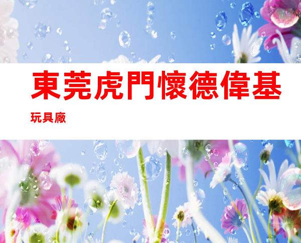 東莞虎門懷德偉基玩具廠