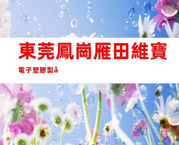 東莞鳳崗雁田維寶電子塑膠製品廠