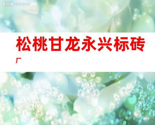 松桃甘龙永兴标砖厂