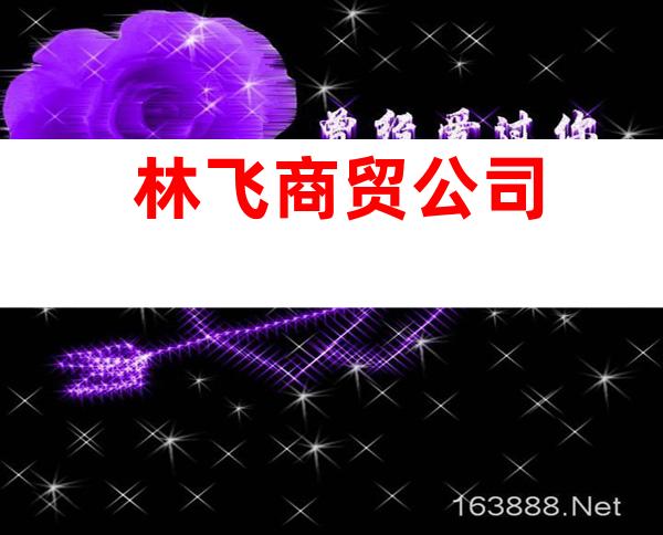 林飞商贸公司