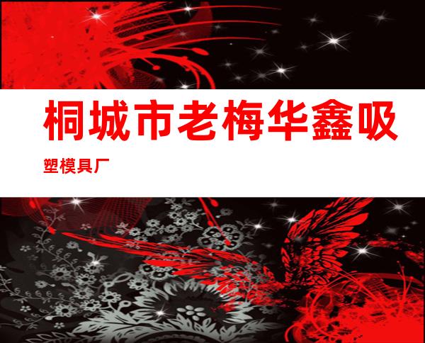 桐城市老梅华鑫吸塑模具厂