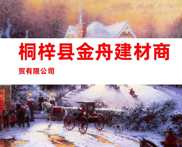 桐梓县金舟建材商贸有限公司