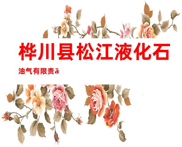 桦川县松江液化石油气有限责任公司