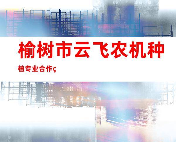 榆树市云飞农机种植专业合作社