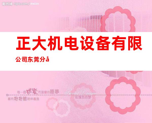 正大机电设备有限公司东莞分公司