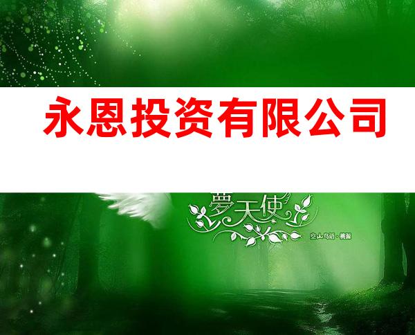 永恩投资有限公司