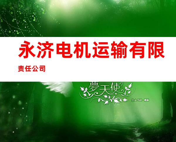 永济电机运输有限责任公司
