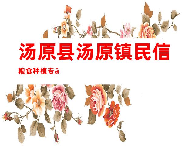 汤原县汤原镇民信粮食种植专业合作社