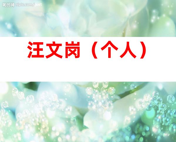 汪文岗（个人）