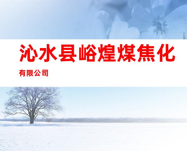 沁水县峪煌煤焦化有限公司