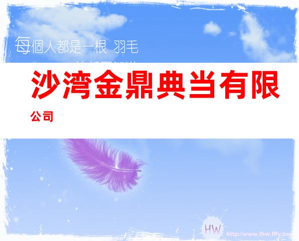 沙湾金鼎典当有限公司