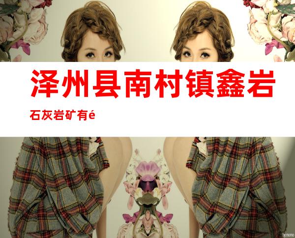 泽州县南村镇鑫岩石灰岩矿有限公司