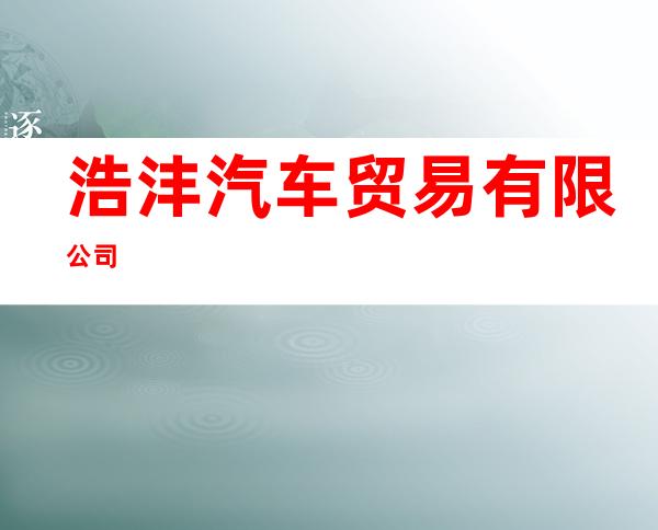 浩沣汽车贸易有限公司