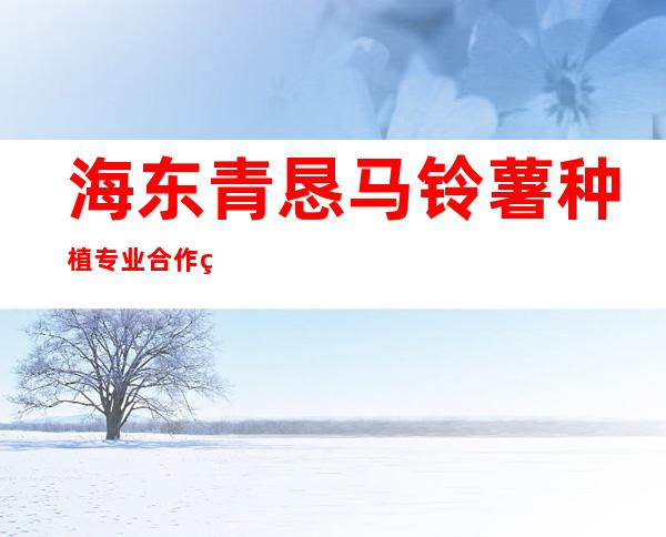 海东青恳马铃薯种植专业合作社