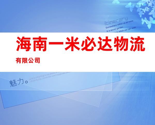 海南一米必达物流有限公司