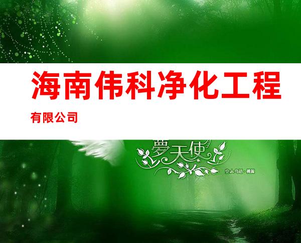 海南伟科净化工程有限公司