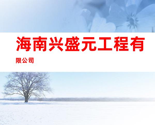 海南兴盛元工程有限公司