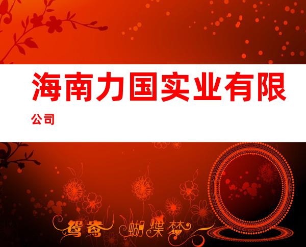 海南力国实业有限公司