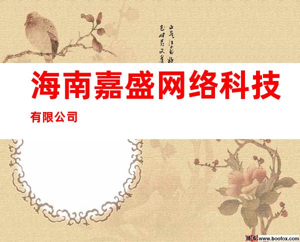 海南嘉盛网络科技有限公司