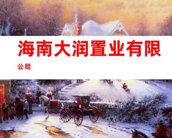 海南大润置业有限公司