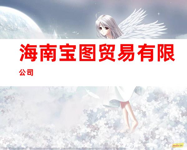 海南宝图贸易有限公司