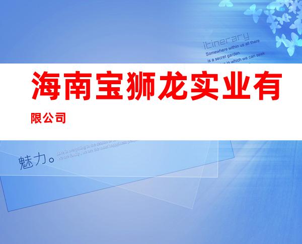 海南宝狮龙实业有限公司